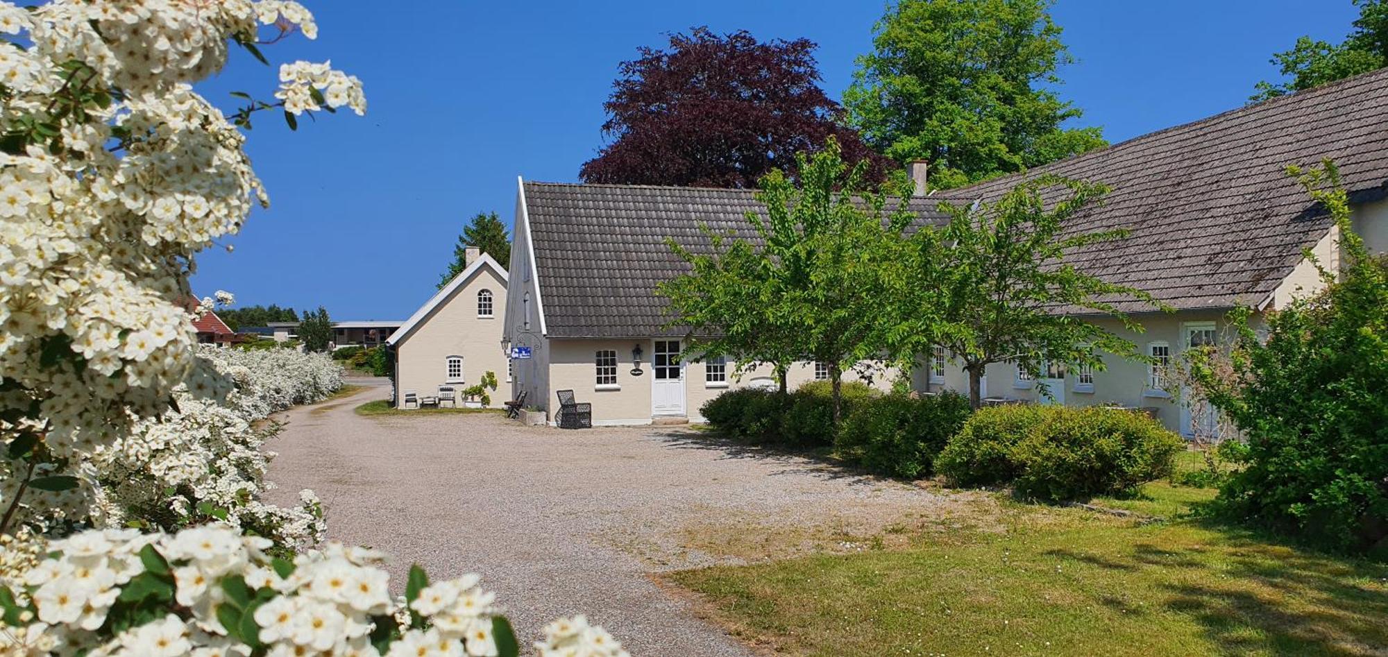Store Ejlstrup Bed & Breakfast Odense Dış mekan fotoğraf